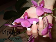 Наращивание ногтей выезд к вам на дом