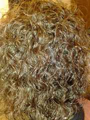 Биозавивка волос,  биозавивка Мосса,  биозавивка цена Киев,  биозавивка