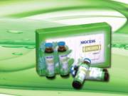 Кордицепс Императорская формула-укрепляет селезенку и почки, приноси